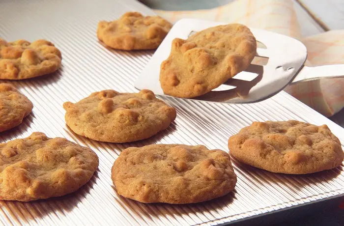 Golden Crisp puffed wheat cereal cookies recipe