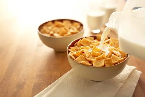 cinnamon squares bowl