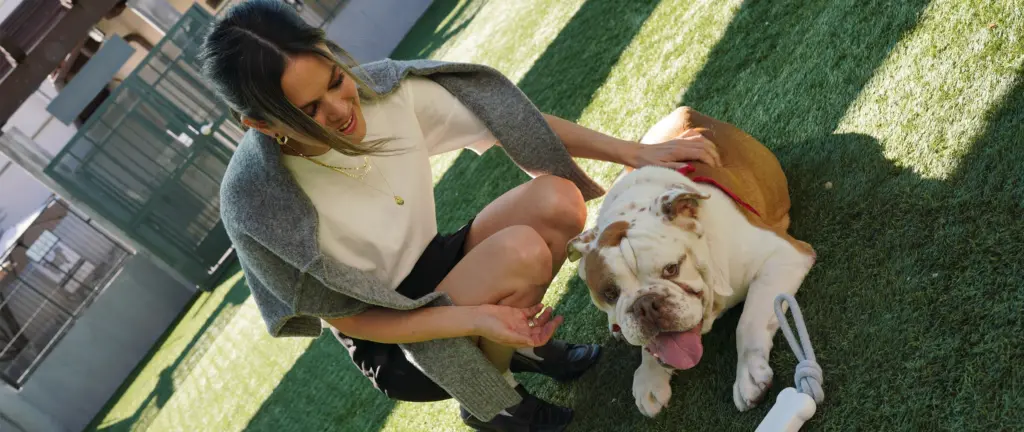 Rachel Bilson and Benny the bulldog during the Dog Day of Service
