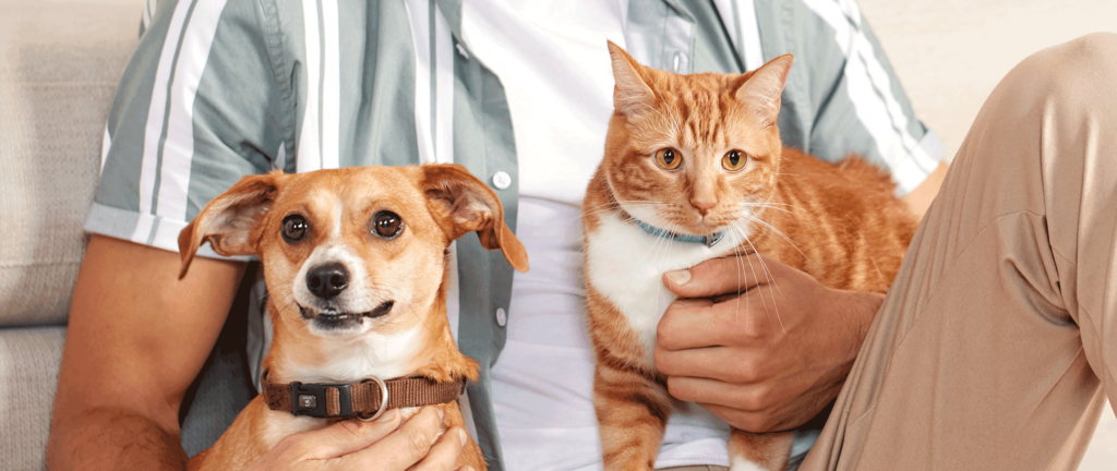 A cat and a dog sit on the lap of their owner.