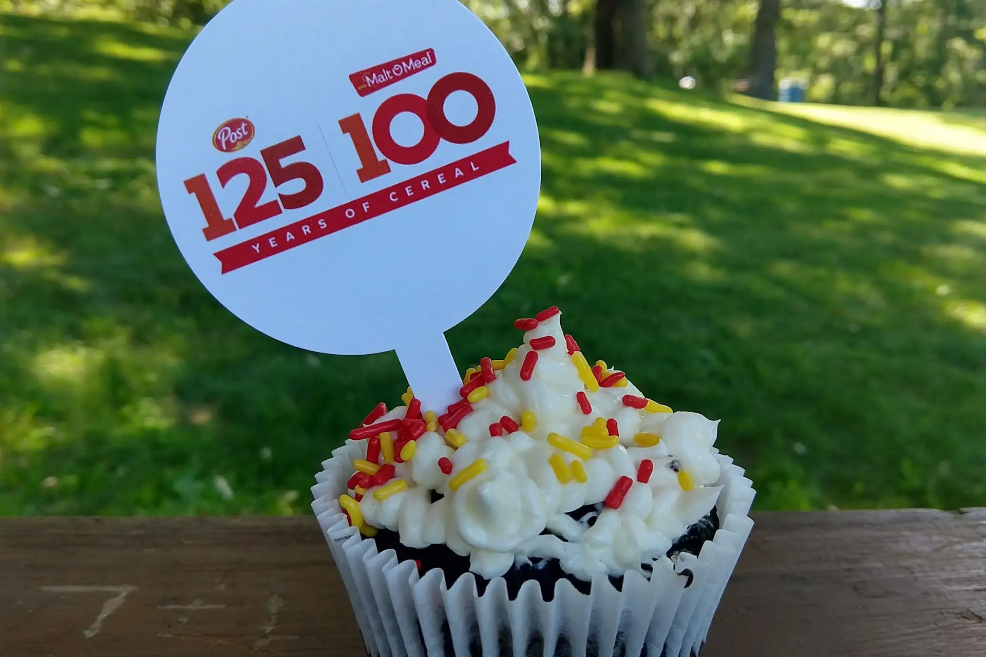 The cupcake kits were specially made by local Lakeville bakery, Sweet Treasures.