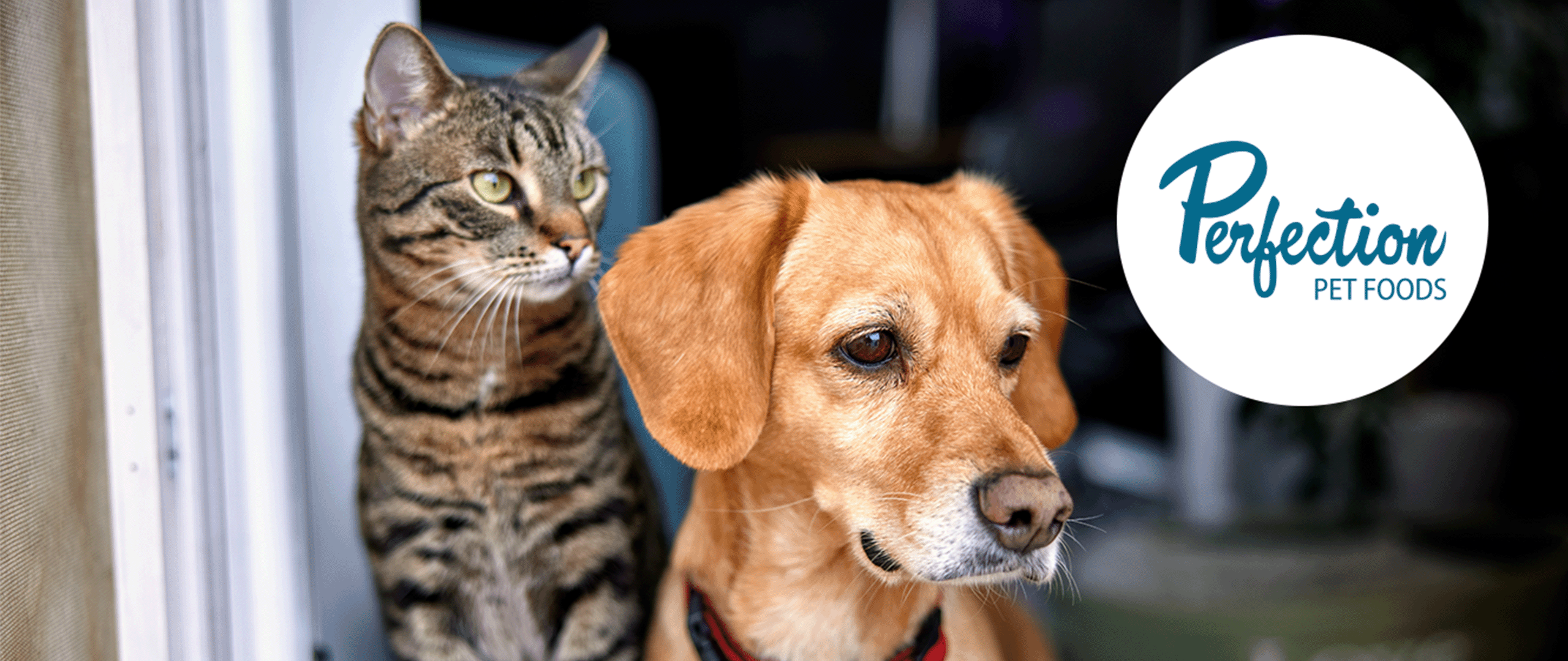 Post Holdings to Acquire Perfection Pet Foods in 2023