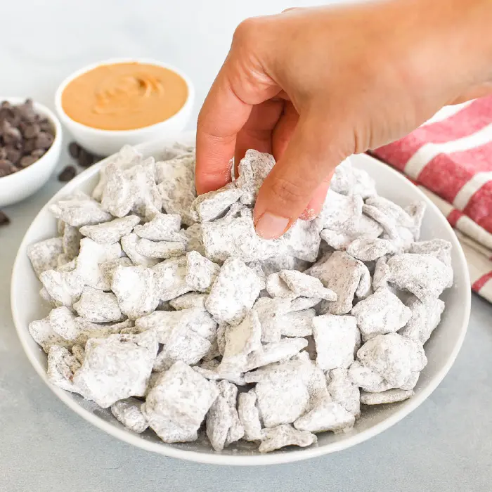 Cinnamon Crunch Puppy Chow