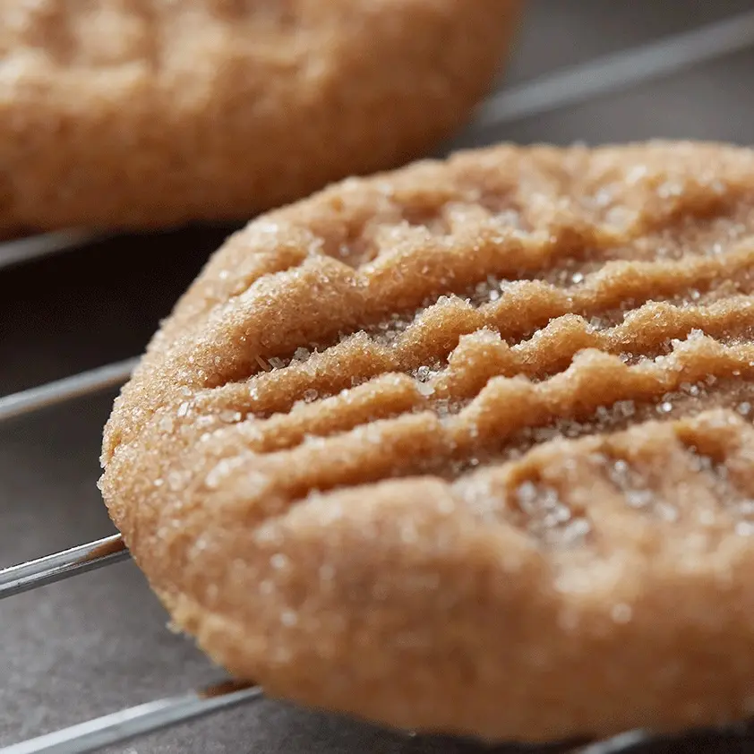 close-up of a peanut butter cookie