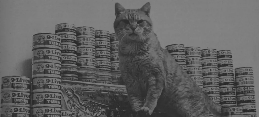 Morris the Cat in 1968 in front of cans of 9Lives cat food