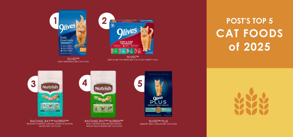 Top 5 Cat Foods